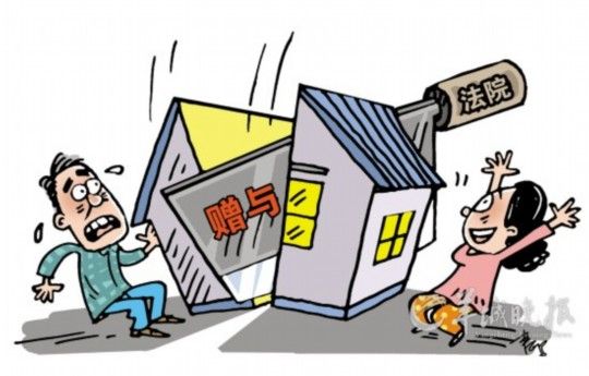 千萬房產(chǎn)贈私生女被收回 因公司財產(chǎn)非遺產(chǎn)可撤銷贈與