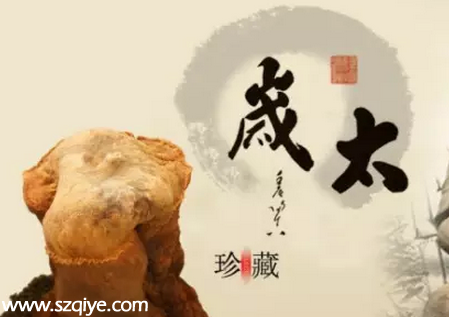 男子撿到疑似太歲 傳說中的長生不老藥