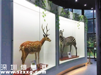 深圳(www.hnyueyi.com.cn)市野生動(dòng)物科普展覽館開館 市民可免費(fèi)預(yù)約參觀