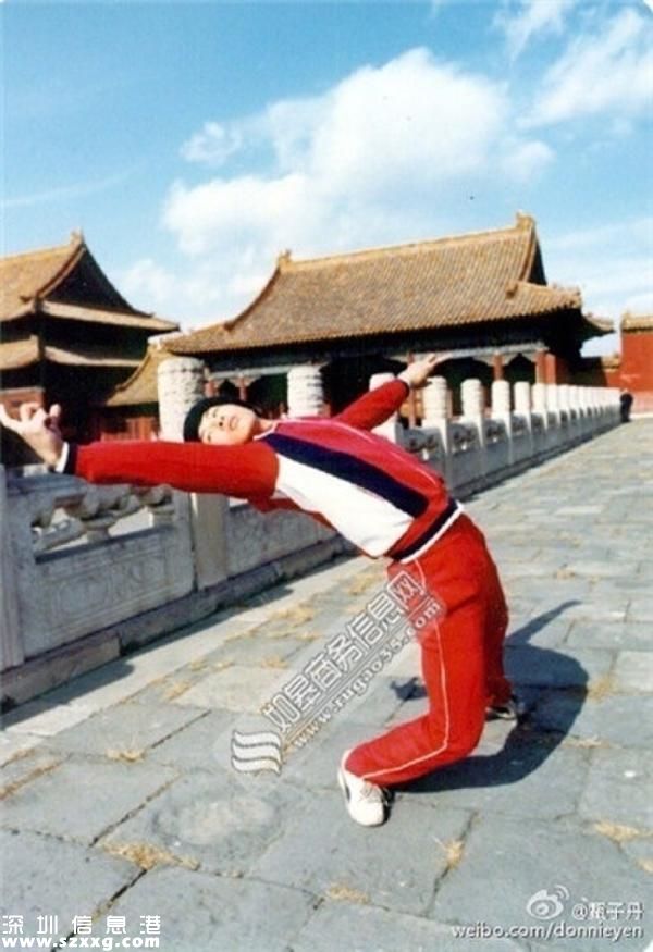 甄子丹曬練功照
