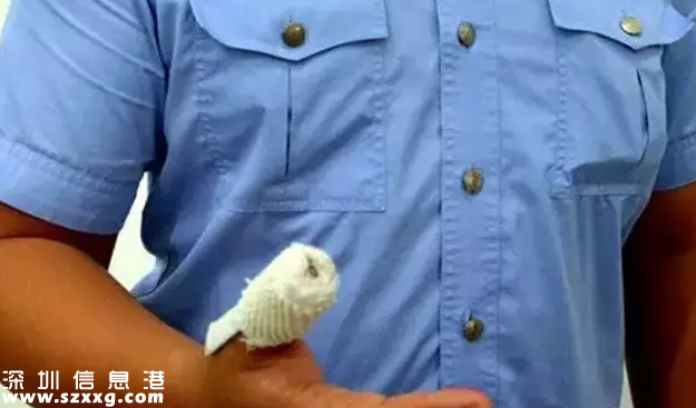 深圳(www.hnyueyi.com.cn)男子拖行交警6米 并叫囂“我是崗廈人”