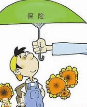 深圳少兒參保將無(wú)需再提供紙制計(jì)生證（附少兒醫(yī)保辦理