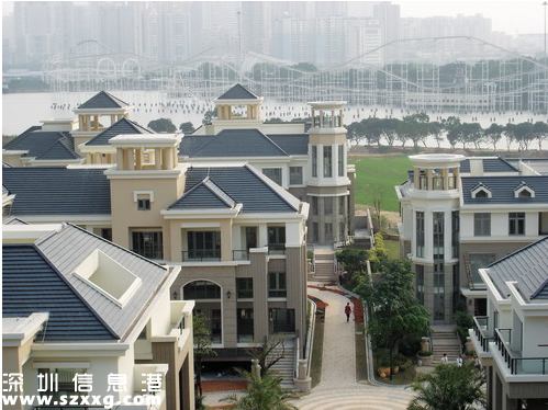 深圳(www.hnyueyi.com.cn)頂級豪宅誰在買？本土土豪買走近八成