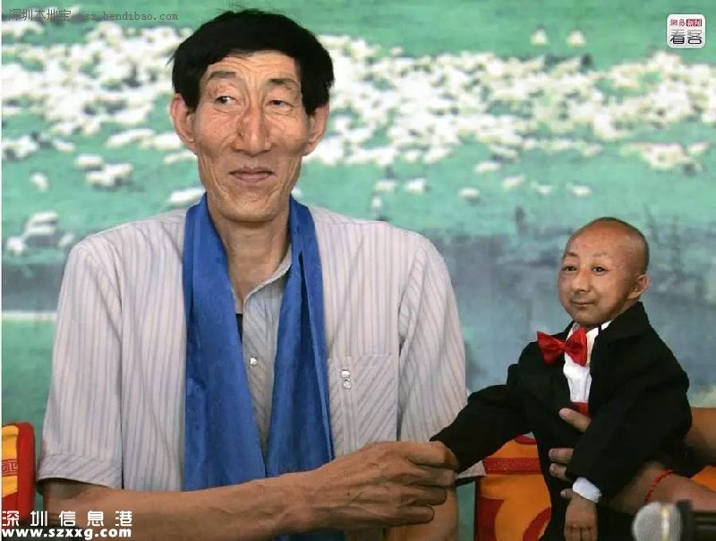 揚(yáng)州炒飯紀(jì)錄無效 盤點(diǎn)中國式吉尼斯紀(jì)錄