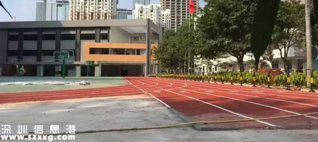 深圳(www.hnyueyi.com.cn)美蓮小學(xué)疑因
