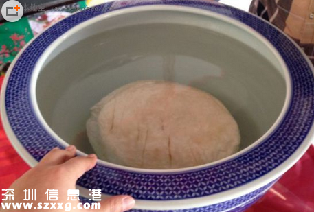 棗樹下挖出太歲賣50萬 太歲生長在什么地方？