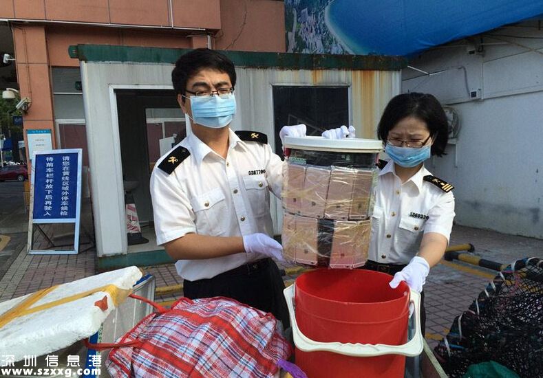 深圳(www.hnyueyi.com.cn)女子到中英街賣菜 用水桶臺秤夾藏49部iPhone