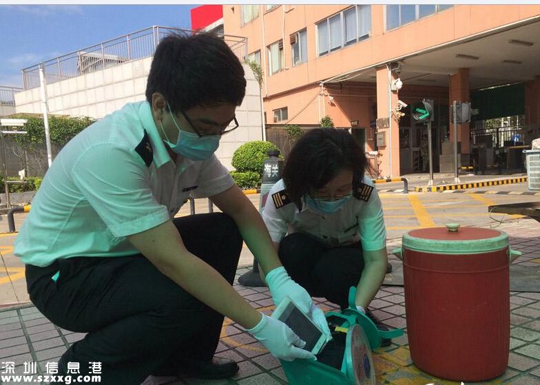 深圳(www.hnyueyi.com.cn)女子到中英街賣菜 用水桶臺秤夾藏49部iPhone