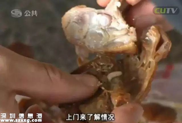 深圳(www.hnyueyi.com.cn)吉之島烤鴨藏蛆蟲 顧客吃一半才發(fā)現(xiàn)