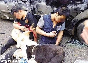 兩男子偷狗被捉 胸前掛死狗示眾10小時