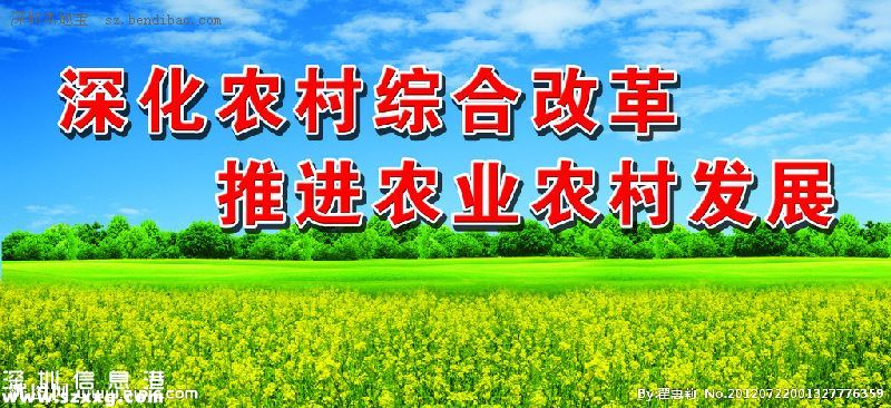 《深化農(nóng)村改革綜合性實(shí)施方案》全文