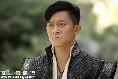 梅賢祖是誰演的 梅賢祖飾演者楊志剛