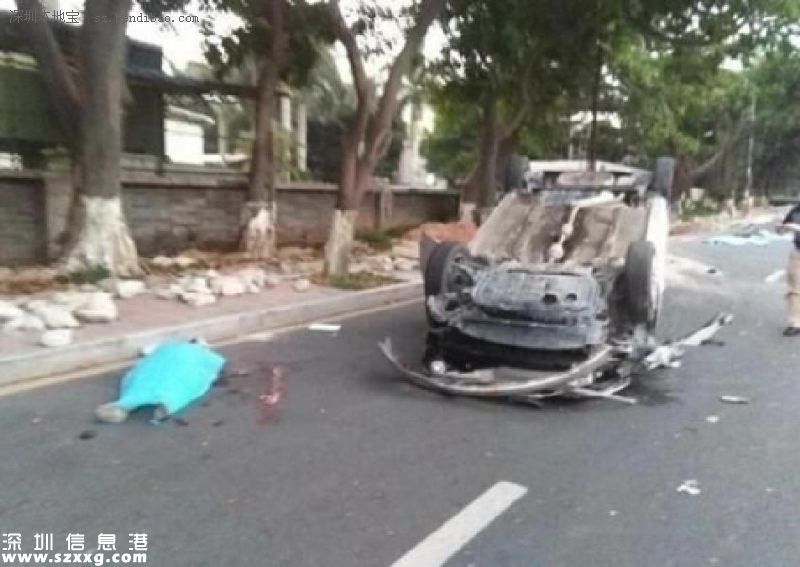 準(zhǔn)爸爸開(kāi)車玩手機(jī) 撞死2對(duì)母子
