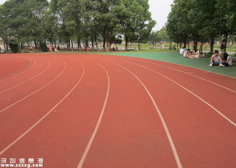 男子散布深圳(www.hnyueyi.com.cn)小學(xué)毒跑道致學(xué)生患白血病被行政處罰