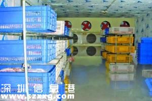 江門(mén)查獲萬(wàn)斤死豬肉 3步即可變“好肉”流出