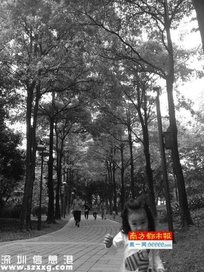 盆架子樹雖可制口香糖，但確實(shí)有毒，其開花時的異味感受因人而異。圖為珠江公園內(nèi)的盆架子樹。
