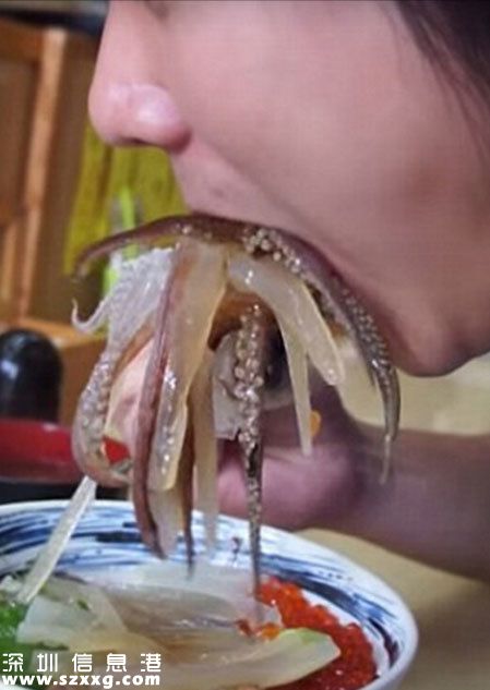 會跳舞的魷魚蓋澆飯走紅網(wǎng)絡(luò)