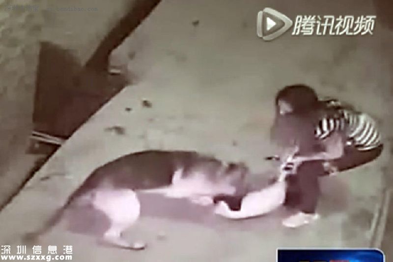 狗咬女童警不敢抓 網(wǎng)友：說好的有困難找警察呢？