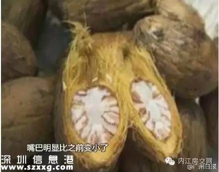 逃犯吃檳榔成小嘴 吃檳榔的好處壞處有哪些？