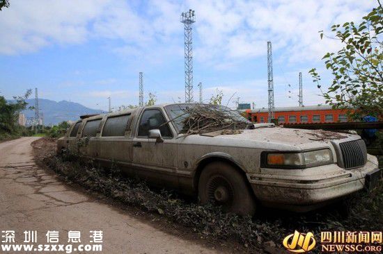 加長林肯停村道2年多成僵尸車 車主稱無所謂