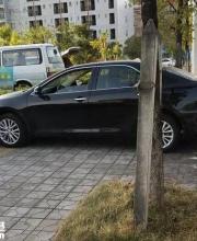 深圳高手表現(xiàn)最牛"停車" 交警也被震住啦