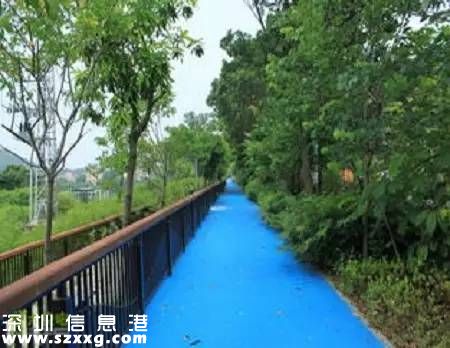 深圳(www.hnyueyi.com.cn)已經(jīng)建成2400公里綠道 最美10條綠道推薦