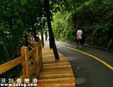 深圳(www.hnyueyi.com.cn)已經(jīng)建成2400公里綠道 最美10條綠道推薦