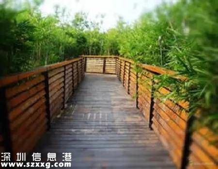 深圳(www.hnyueyi.com.cn)已經(jīng)建成2400公里綠道 最美10條綠道推薦