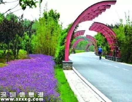 深圳(www.hnyueyi.com.cn)已經(jīng)建成2400公里綠道 最美10條綠道推薦