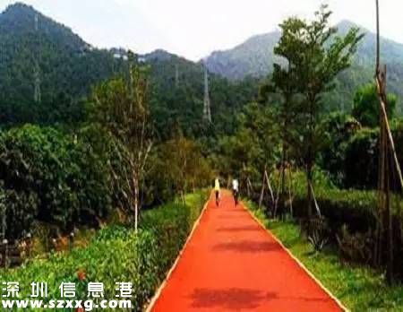 深圳(www.hnyueyi.com.cn)已經(jīng)建成2400公里綠道 最美10條綠道推薦