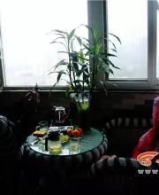 空巢老人買充氣娃娃解悶 性用品不應(yīng)被歧視