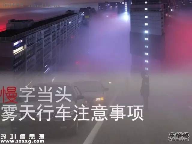 沈海高速多車相撞因團霧 霧天行車注意事項牢記