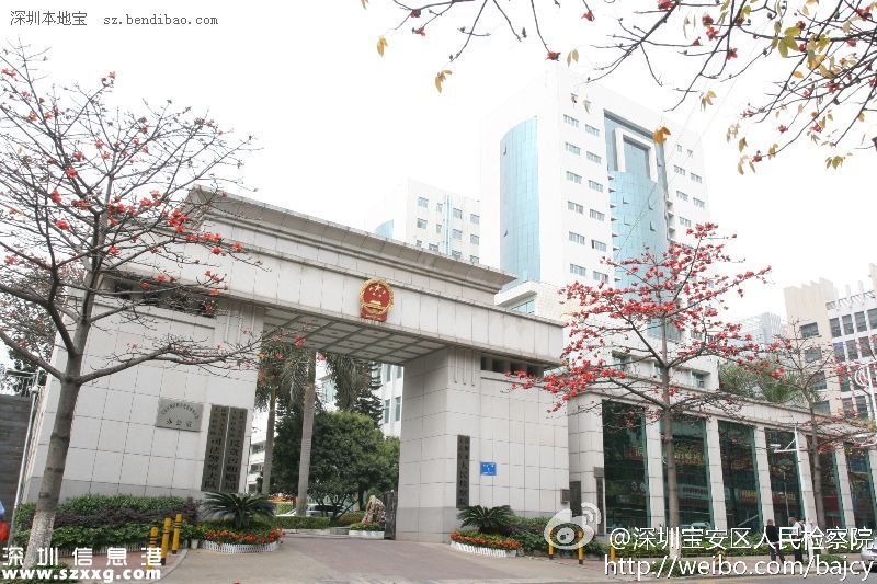 寶安民生：20%財政投入教育、打通28條斷頭路