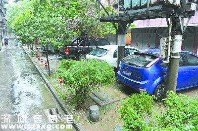 福田絨花路綠化帶收費停車場 白天收費系保安個人行為