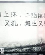 夫妻可自主選擇避孕節(jié)育措施 避孕節(jié)育措施有哪些？
