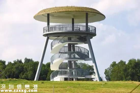 深圳(www.hnyueyi.com.cn)紅樹林生態(tài)公園將開園 提前看公園有什么好玩的