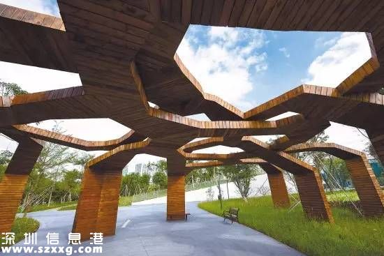 深圳(www.hnyueyi.com.cn)紅樹林生態(tài)公園將開園 提前看公園有什么好玩的