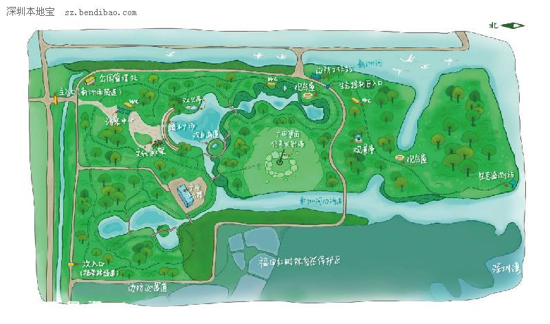深圳(www.hnyueyi.com.cn)紅樹林生態(tài)公園將開園 提前看公園有什么好玩的