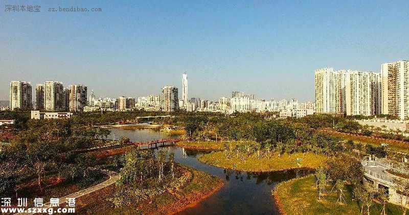 深圳(www.hnyueyi.com.cn)紅樹林生態(tài)公園將開園 提前看公園有什么好玩的