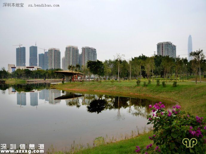 福田紅樹林生態(tài)公園只?容納2200人? 游客需排隊