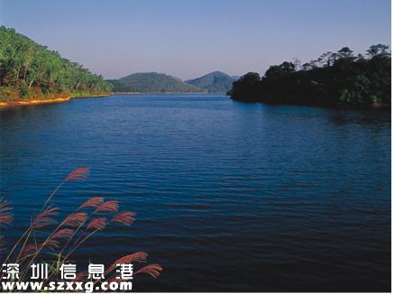 清林徑引水調(diào)蓄工程提速 6月前完成征地拆遷工作