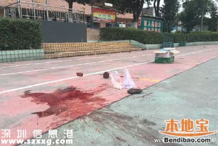 廣州小學生被校車壓死 疑在校車下?lián)鞏|西