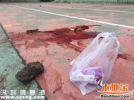 廣州小學生被校車壓死 疑在校車下?lián)鞏|西