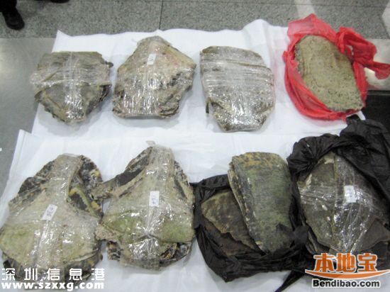 深圳(www.hnyueyi.com.cn)海關(guān)查獲玳瑁甲12公斤 藏于嬰兒紙尿片中
