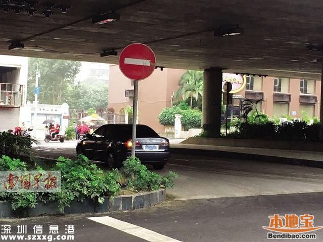 協(xié)警躲樹叢拍違法車輛 執(zhí)法方式遭質(zhì)疑
