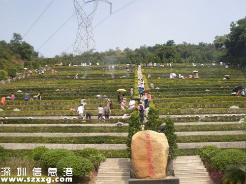 深圳清明高峰期將到來 吉田墓園不提供停車位