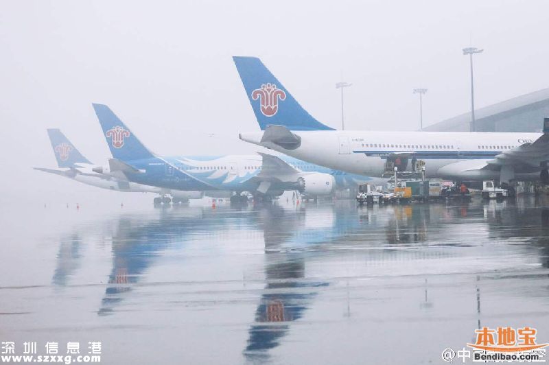 雷雨導(dǎo)致飛機(jī)延誤 打這些電話及時掌握航班動向