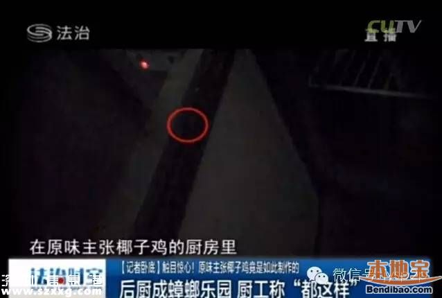 深圳原味主張椰子雞被爆黑幕 或涉及30家分店
