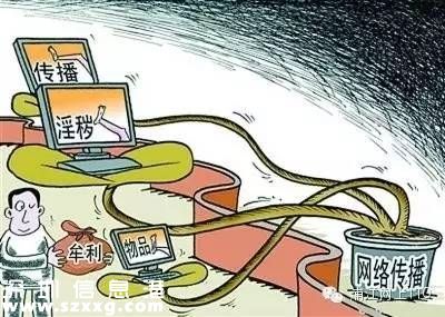 男子傳播淫穢被抓 1.5萬G黃色視頻9.8元入會費