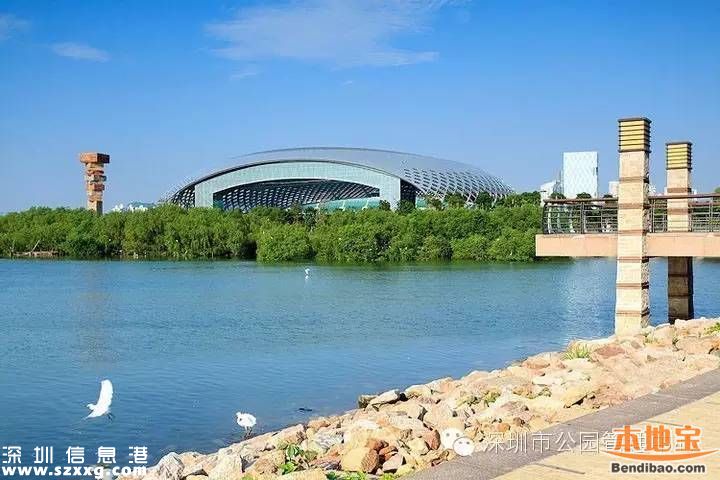 深圳灣公園人車混行怎么治？或增建7座橋